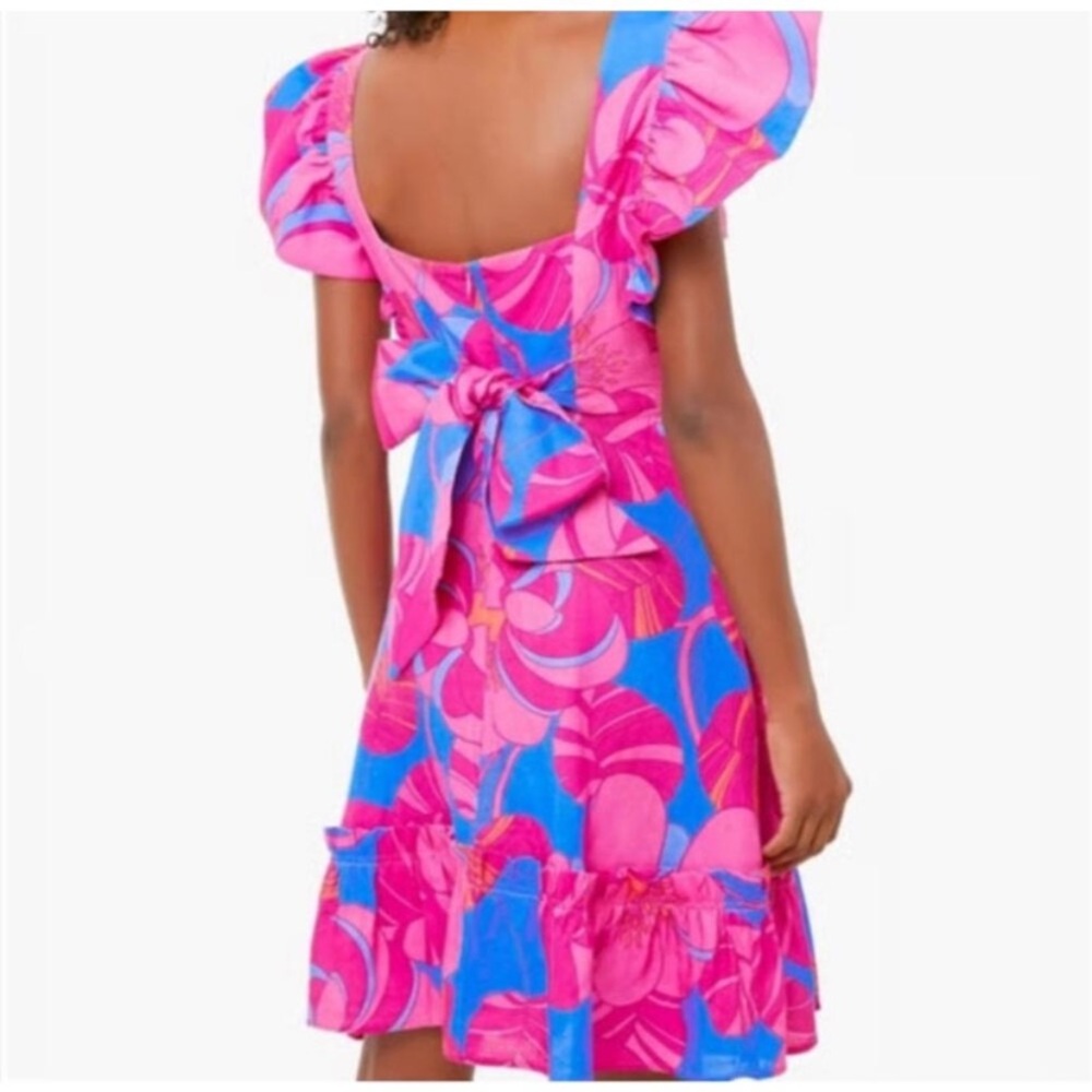 Tuckernuck Vibrant Pink and Blue Ruffle Mini Dress - Cameron Eubanks -  Medium - Picture 3 of 6